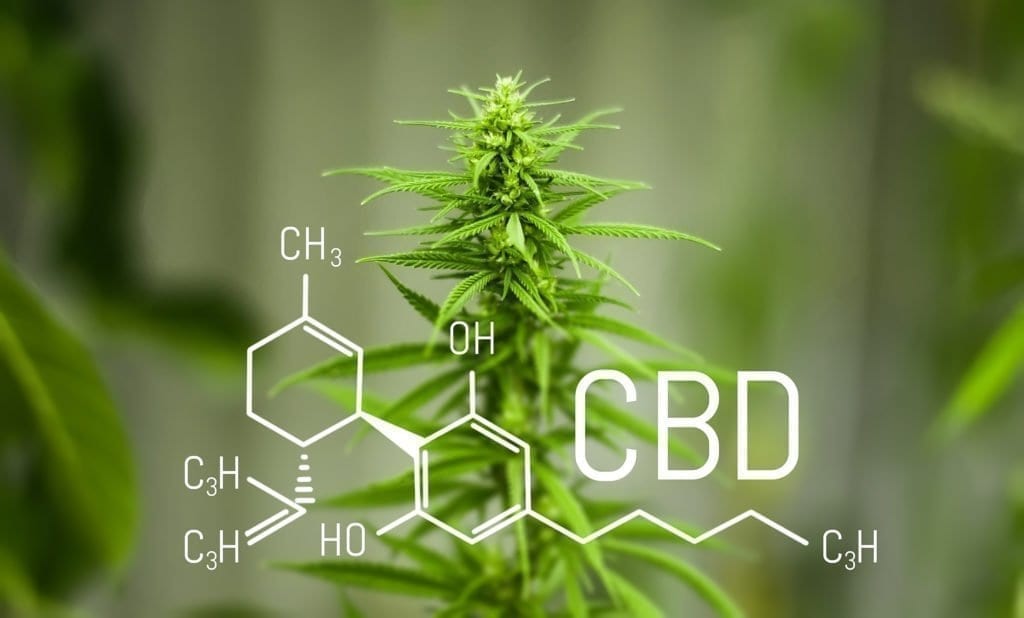 Hemp Flower With The Chemical Structure
