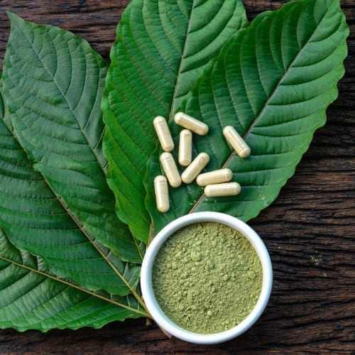 Mitragyna speciosa or kratom leaves in capsules and powder in white ceramic bowl and wooden table, top view