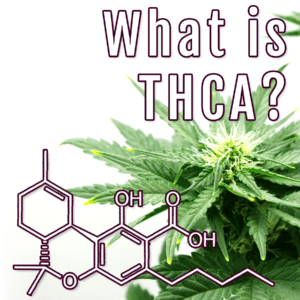 What is THCA?