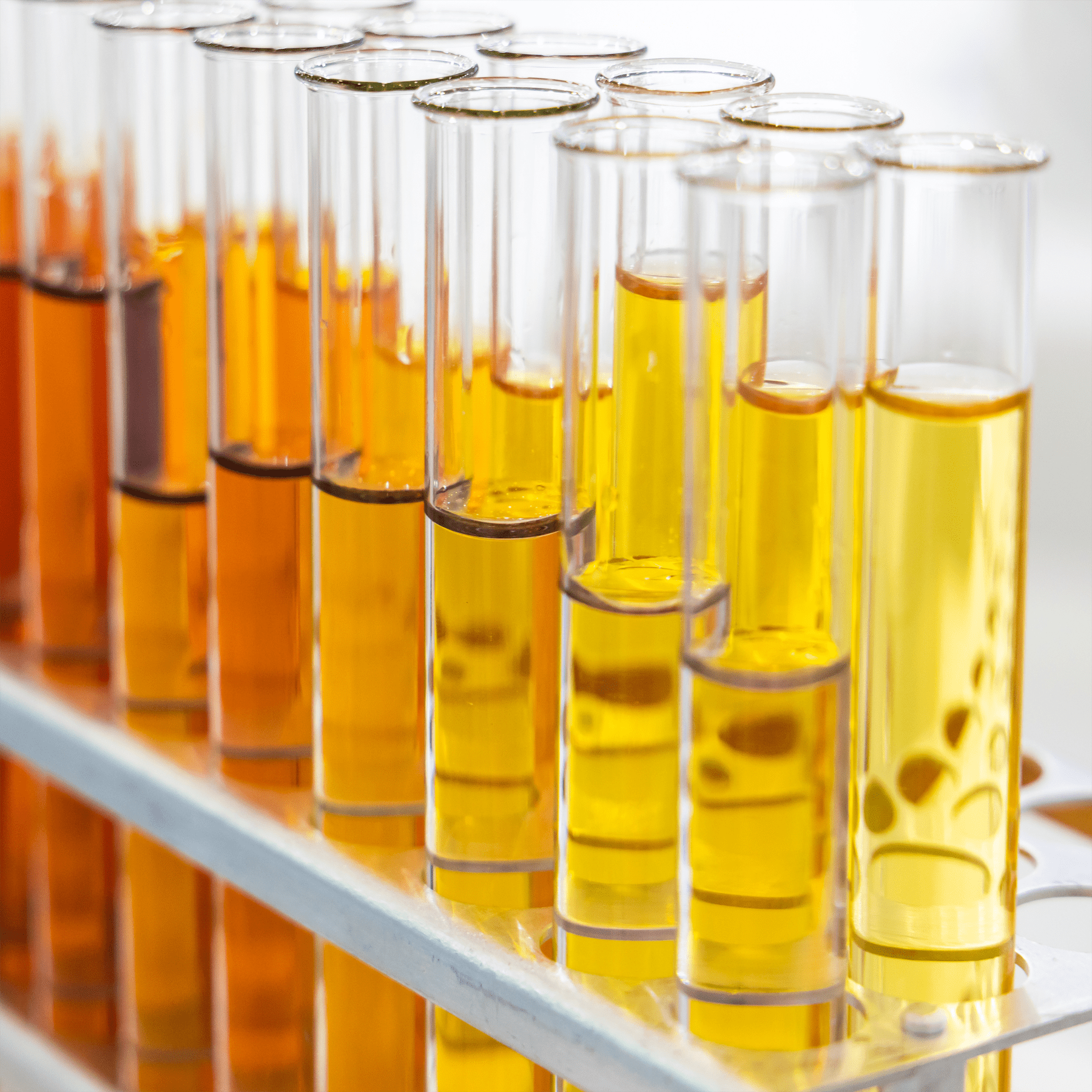 Why Third Party Testing Is Important