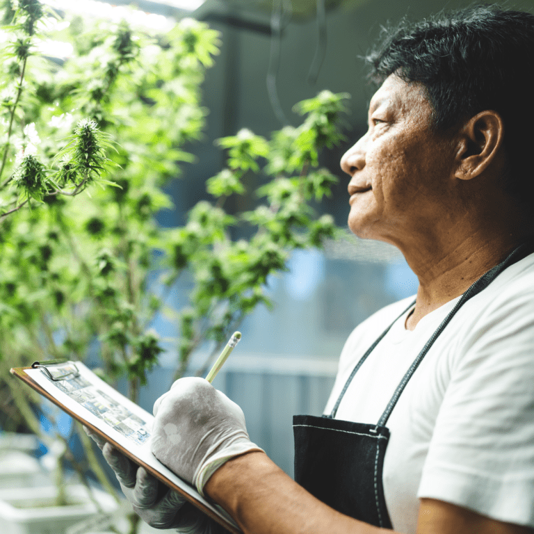 Hemp Farmer Testing Crops